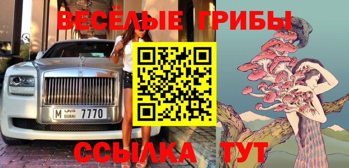 Псилоцибиновые грибы GOLDEN TEACHER  Вход с VPN  Галлюциногенные грибы Psilocybe  Новочебоксарск 